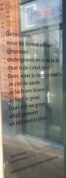 Poëziewandeling Nijmegen